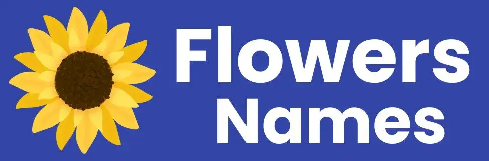 flower names in hindi