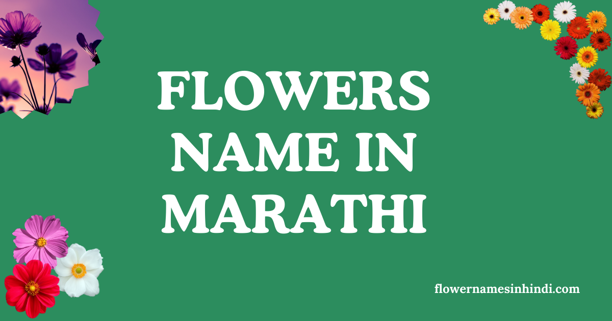 flowers name in marathi