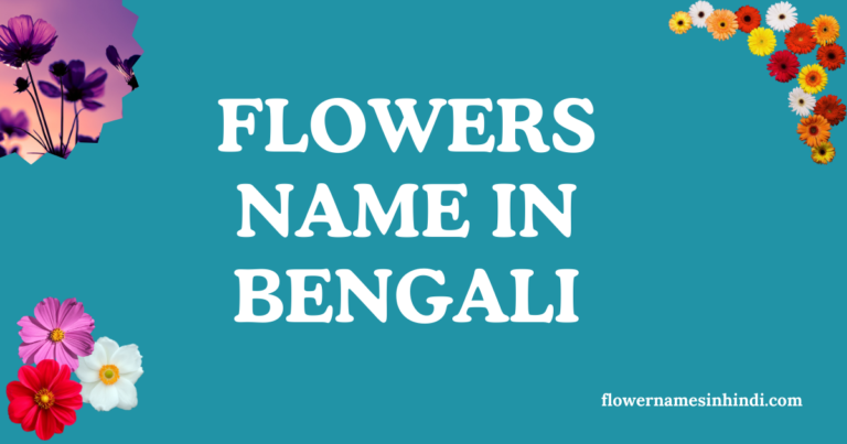 flowers name in bengali