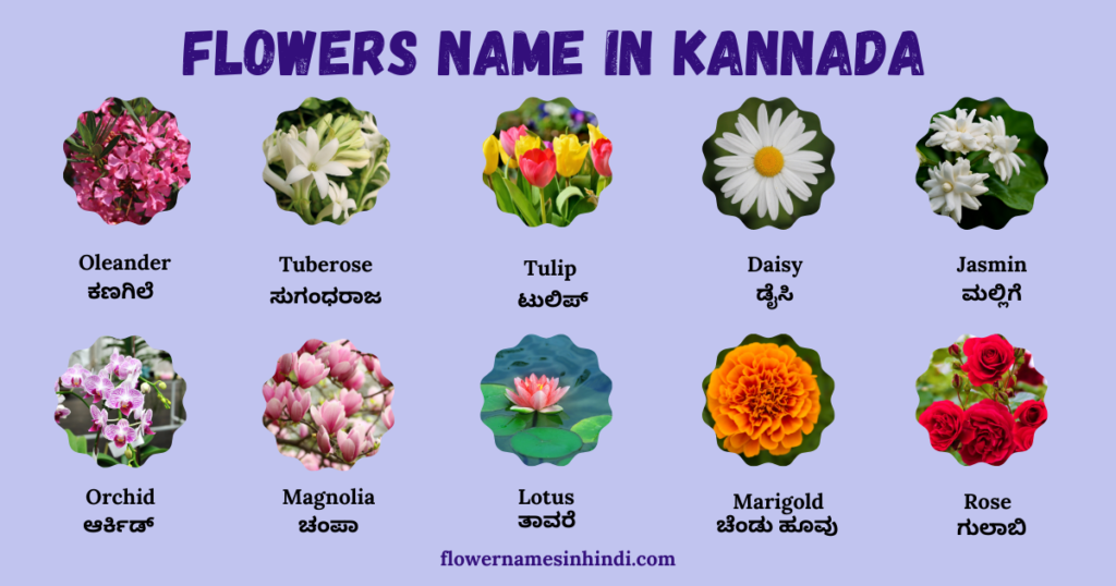 flowers name in kannada