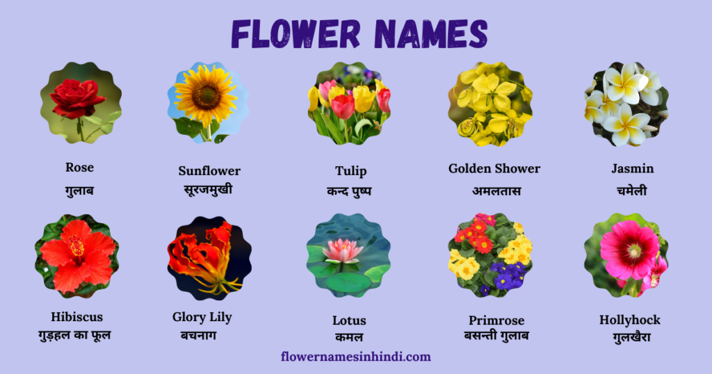 flowers names in hindi