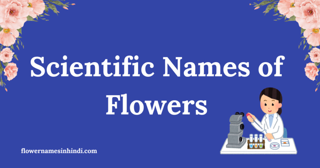 flowers names in hindi