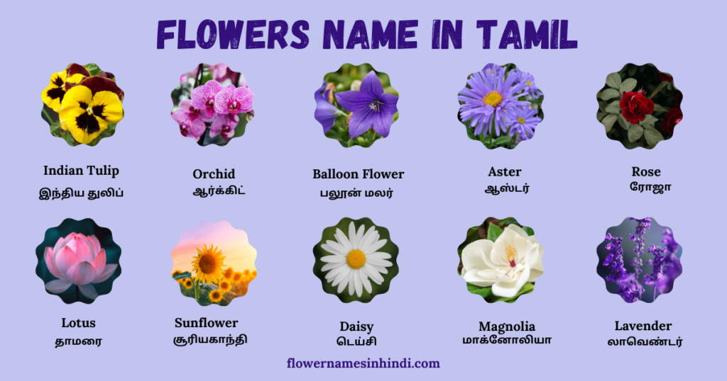 flowers name in tamil