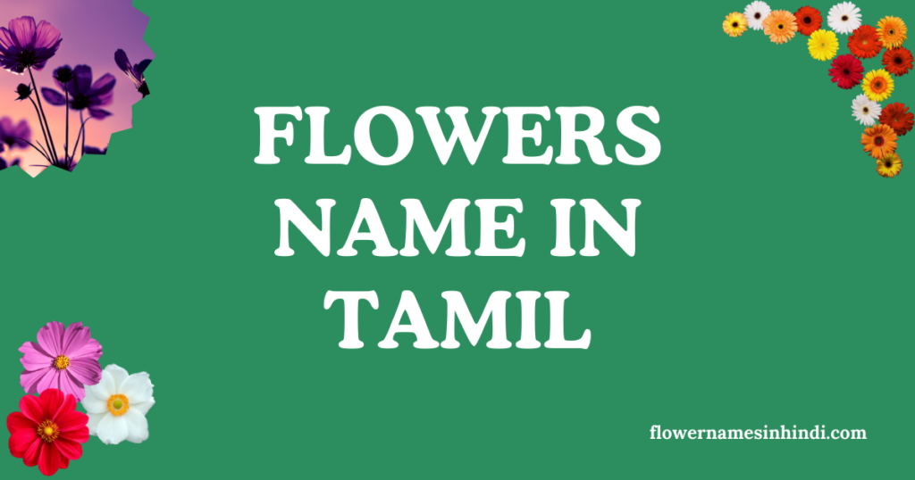 flowers name in tamil