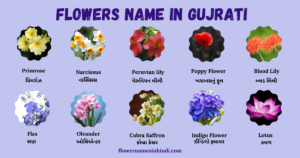100+ Flowers Name in Gujarati and English | ફૂલો ના નામ ગુજરાતીમાં