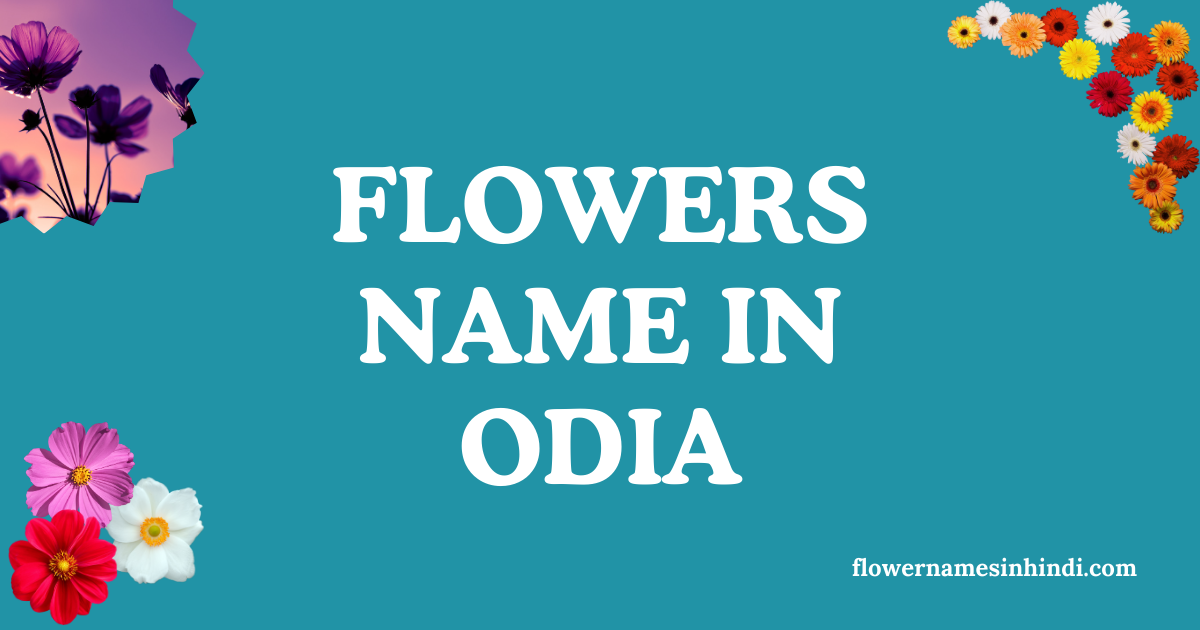 lowers name in odia