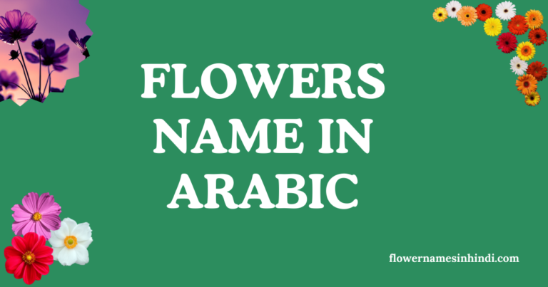 flowers name in arabic