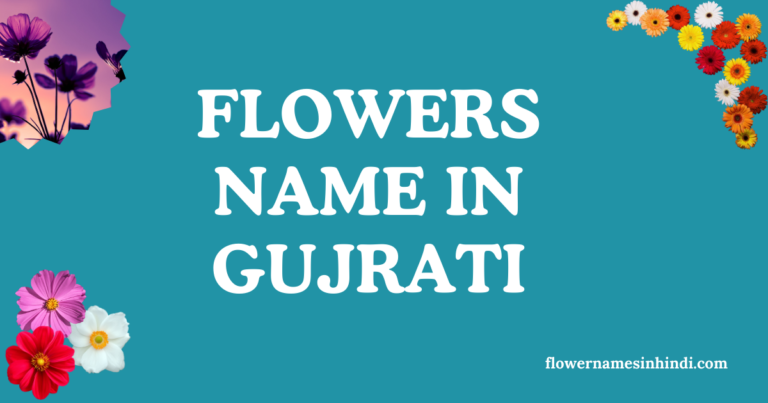 flowers name in gujarati and english