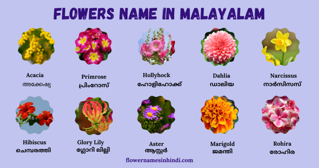 Flowers Name in Malayalam