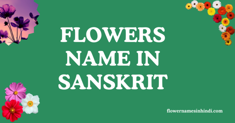 Flowers Name In Sanskrit