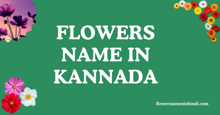 flowers name in Kannada