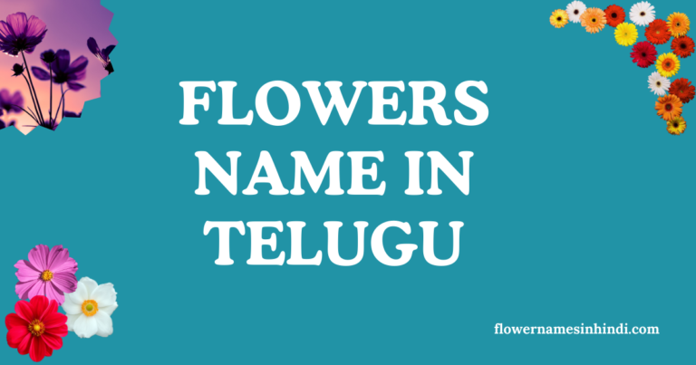 Flower Names In Telugu