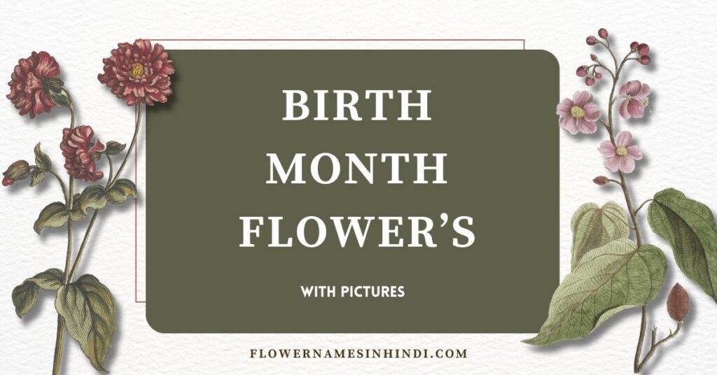 Birth Month Flowers