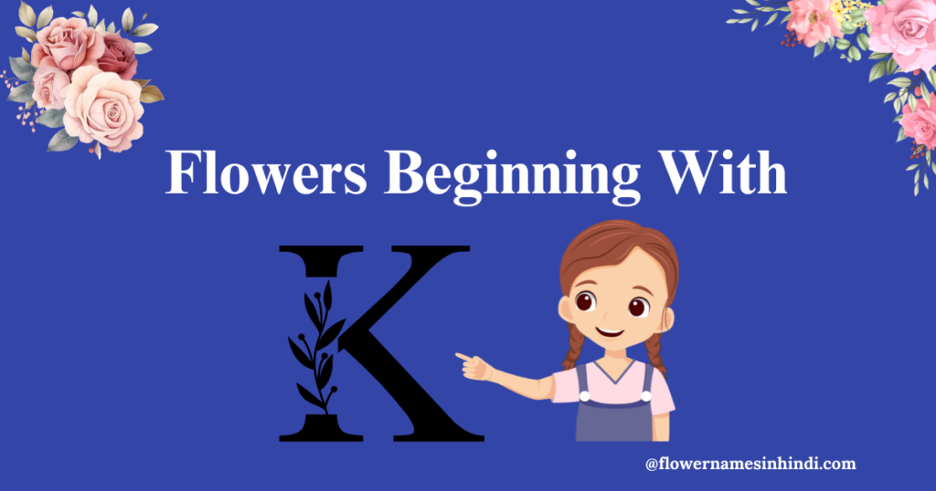 Flowers Beginning With K