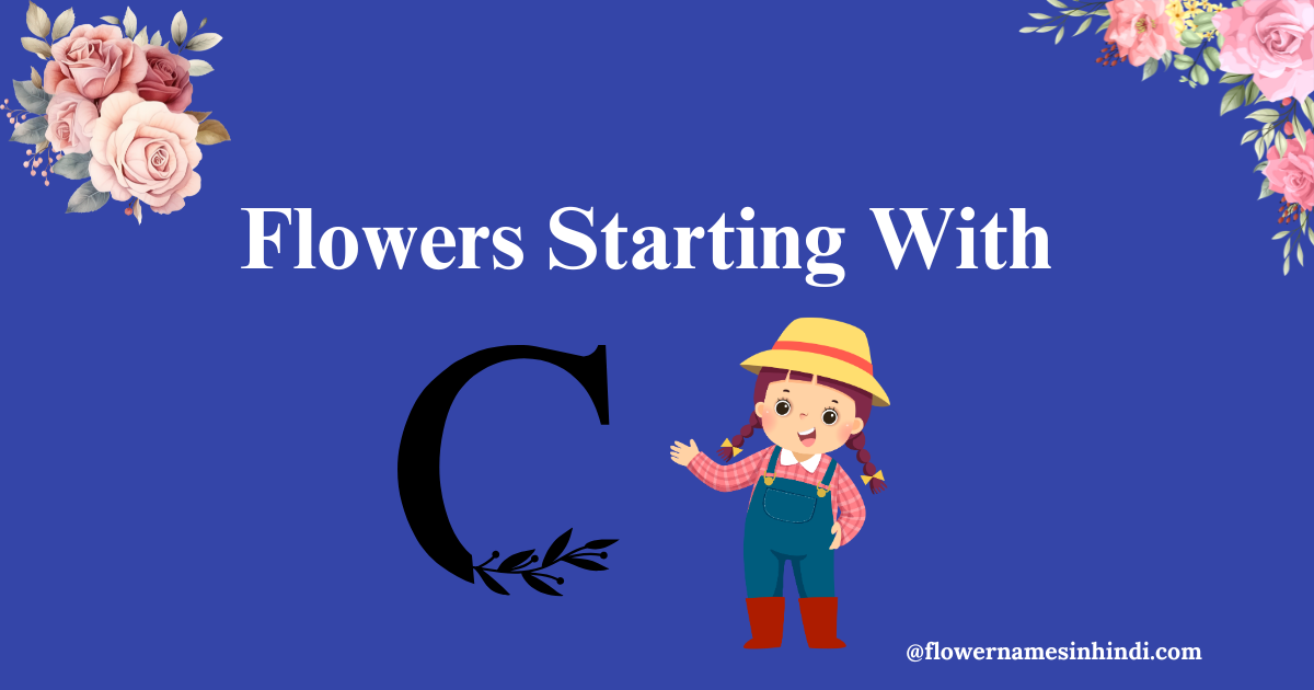 Flowers starting with C
