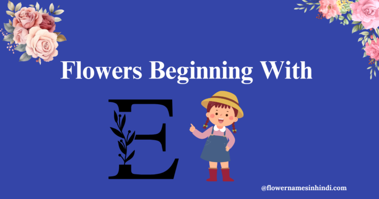 Flowers Beginning With E