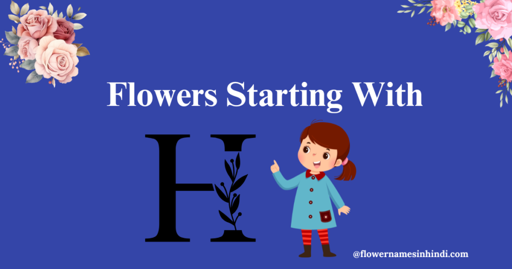 Flowers Starting With H