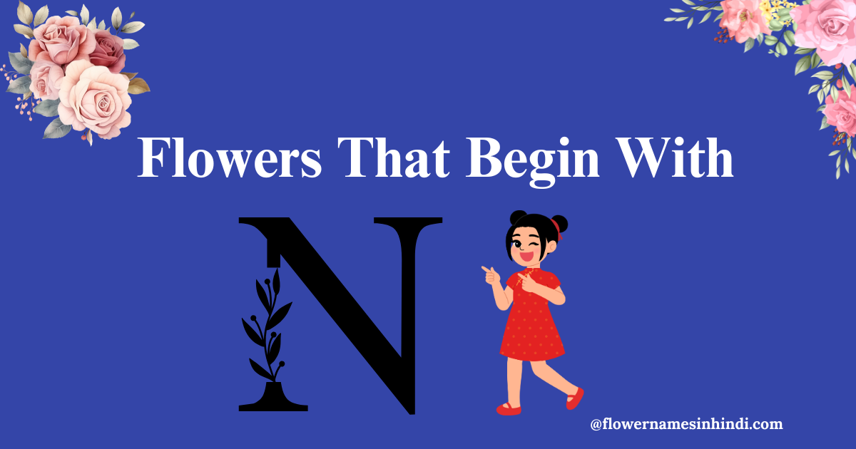 flowers that begin with N