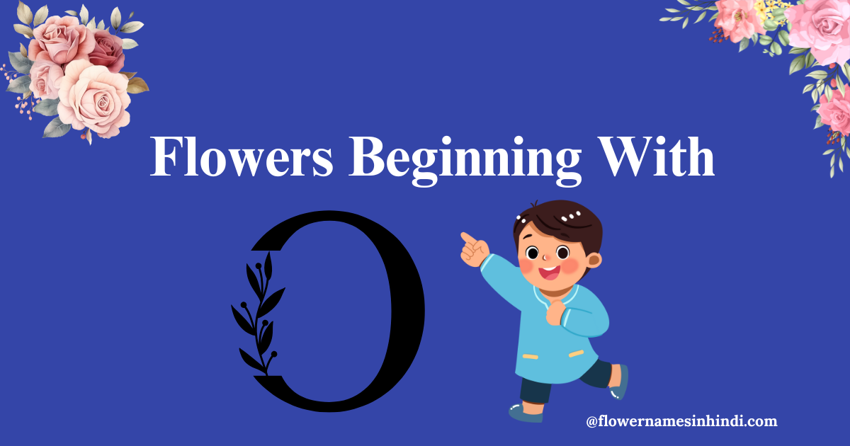 flowers that start with o