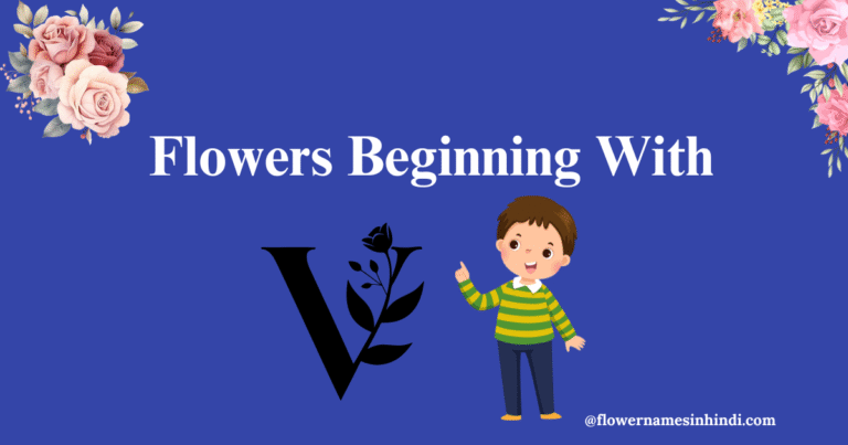 Flowers that begin with V