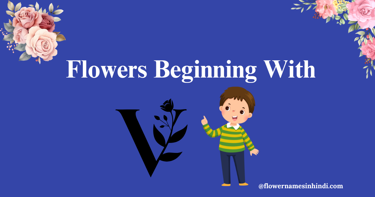 Flowers that begin with V