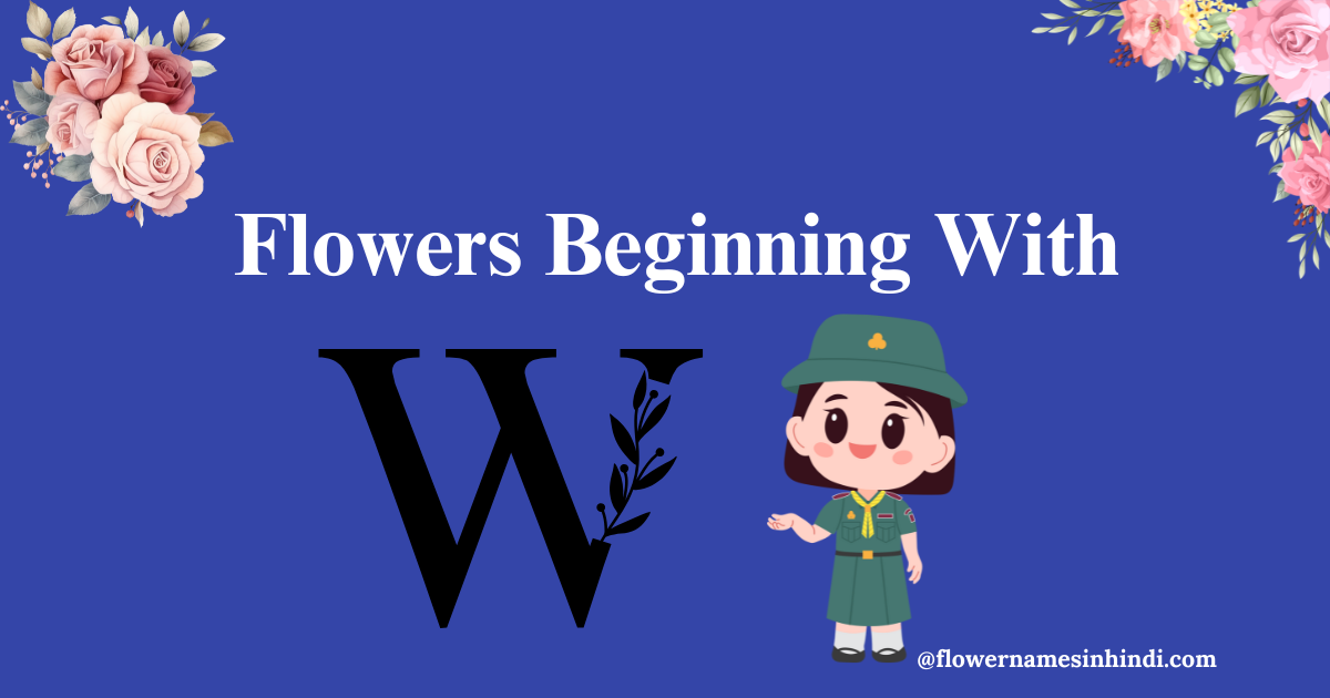 Flowers beginning with W