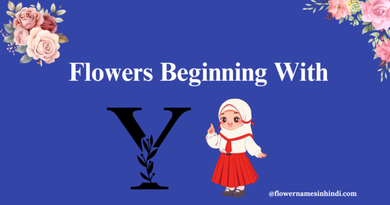 16+ Beautiful Flowers Beginning with Y With Pictures