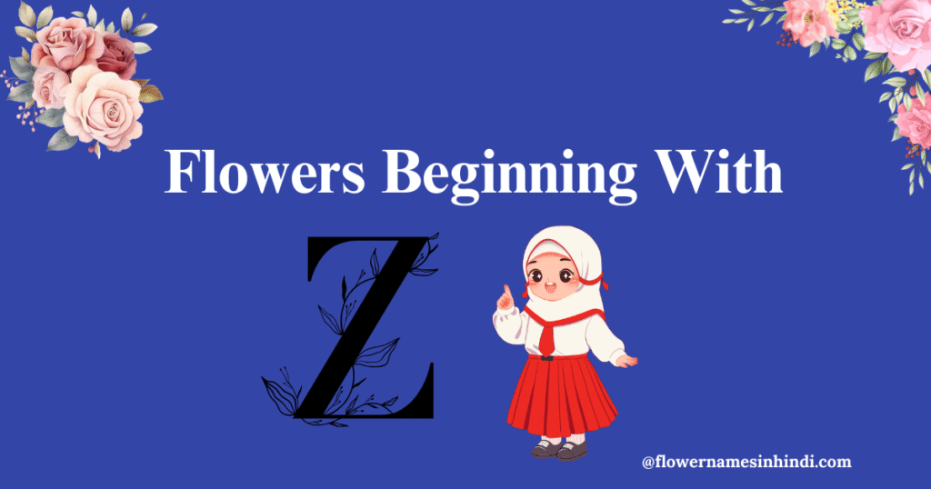 flowers that begin with Z